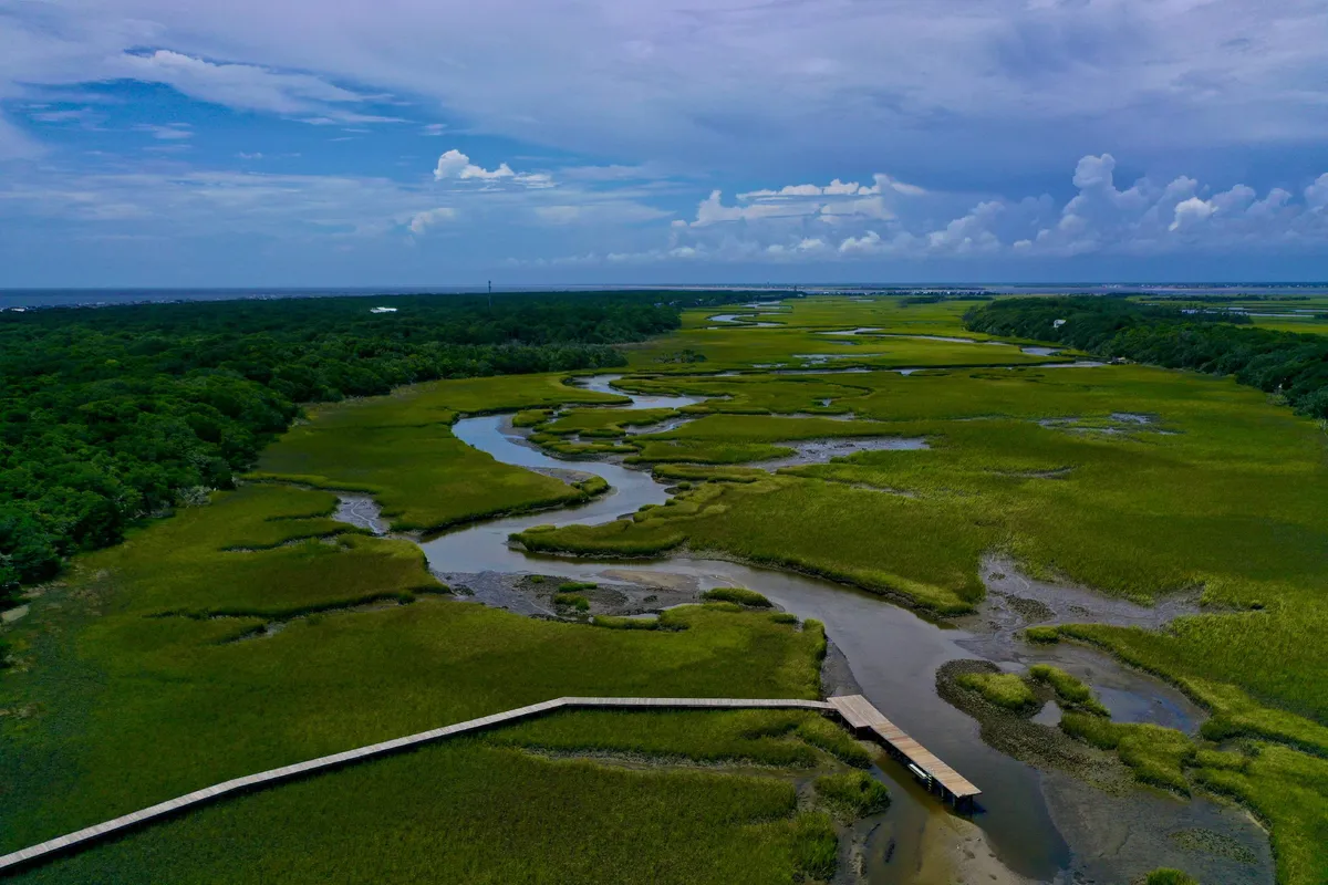 A panoramic view of meandering waterways winding through expansive green marshlands, with a boardwalk visible in the background. The area looks peaceful and ideal for birdwatching, kayaking, and photography. The interplay of water and land showcases the unique ecosystem.