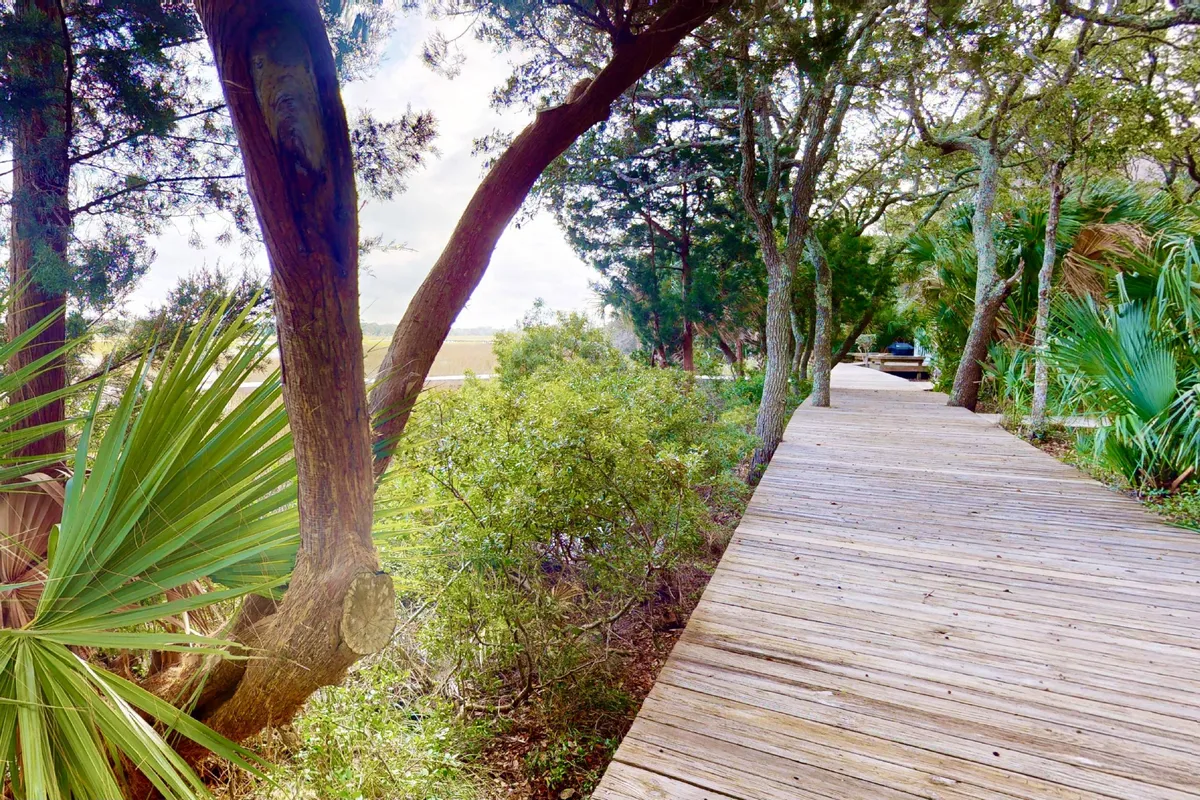 A wooden walkway cuts through lush greenery and marsh, leading toward a distant, open landscape. The early morning or late evening light enhances the peaceful, reflective mood. This path suggests quiet walks, wildlife sightings, and the restorative beauty of nature.