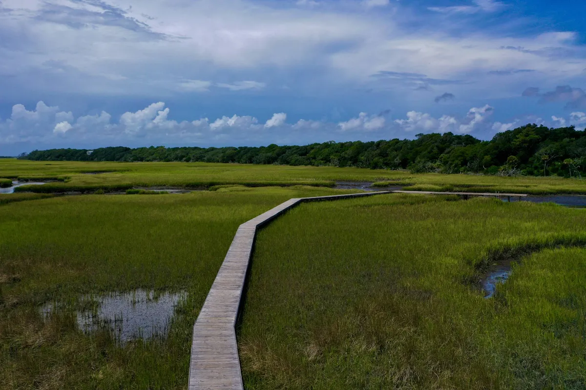 A long wooden boardwalk stretches across lush green marshland under a bright blue sky dotted with clouds. The scene is tranquil, with the boardwalk inviting exploration through the natural marsh environment. Grasses and reeds dominate the landscape, creating a feeling of immersion in local wildlife habitat.